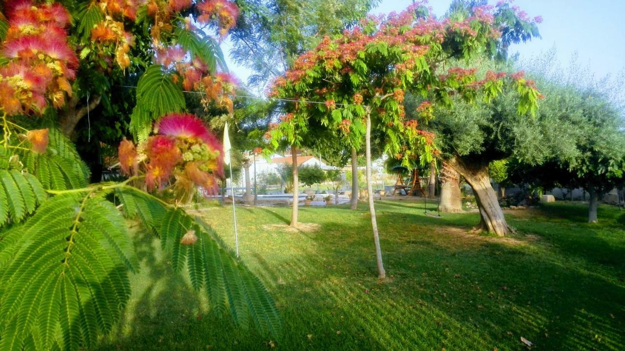 Homestay La Toscana Murcia