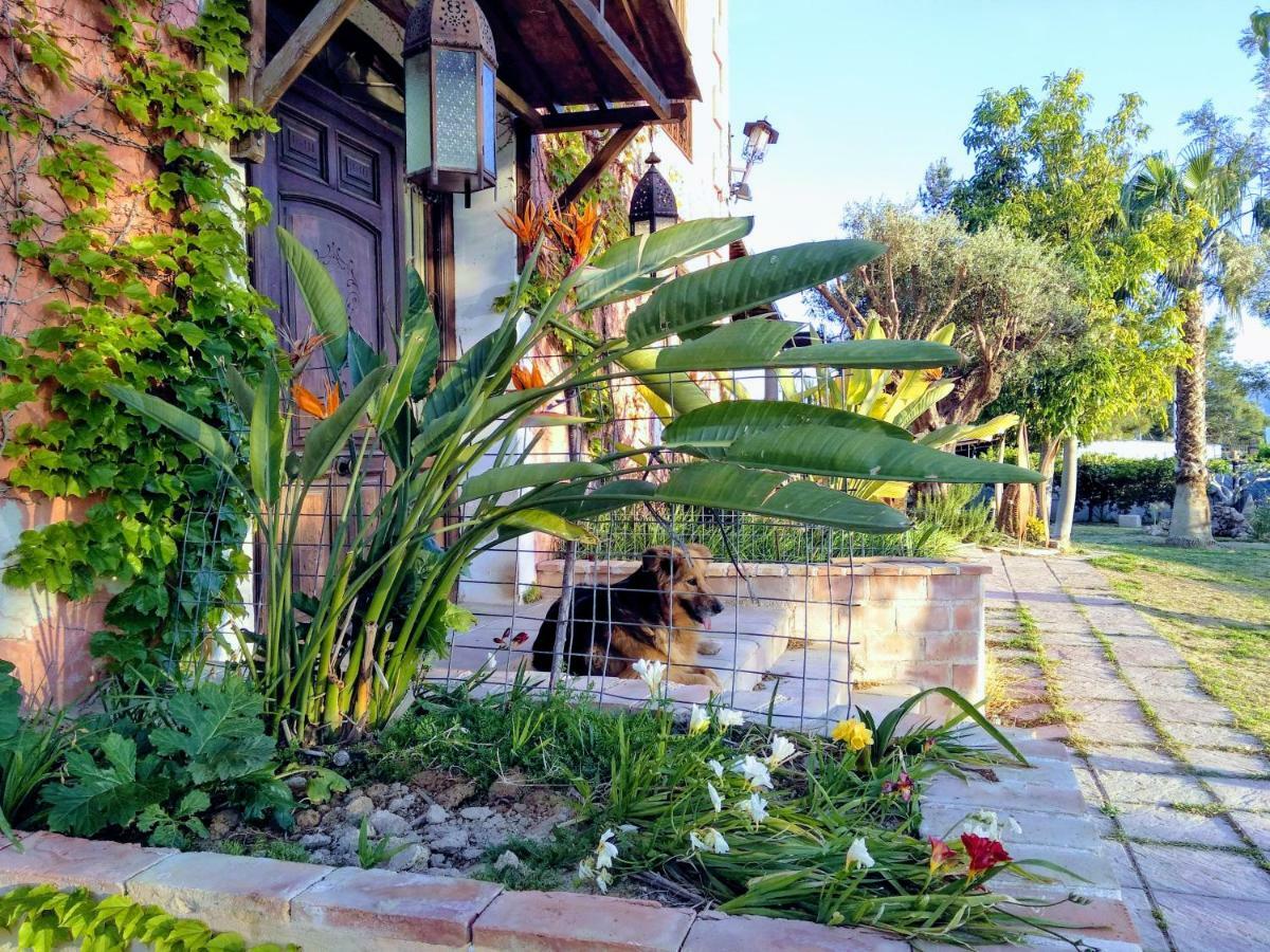 Homestay La Toscana